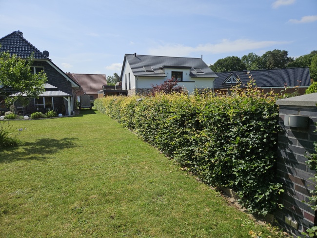 20250617 110158 Hecke Seite vorher