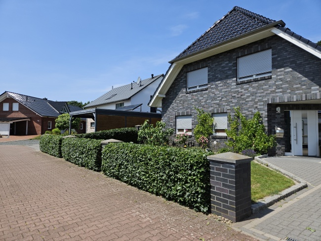 20250617 130323 Hecke vorne hinterher
